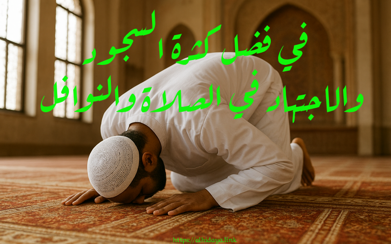 في فضل كثرة السجود والاجتهاد في الصلاة والنوافل
